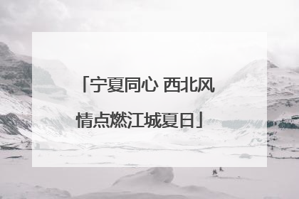 宁夏同心 西北风情点燃江城夏日