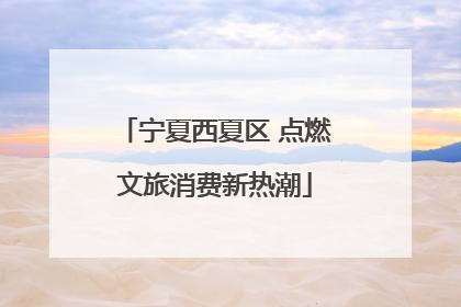 宁夏西夏区 点燃文旅消费新热潮