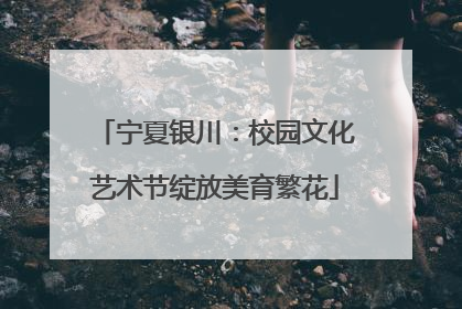 宁夏银川：校园文化艺术节绽放美育繁花