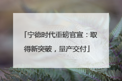 宁德时代重磅官宣：取得新突破，量产交付