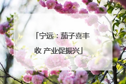 宁远：茄子喜丰收 产业促振兴