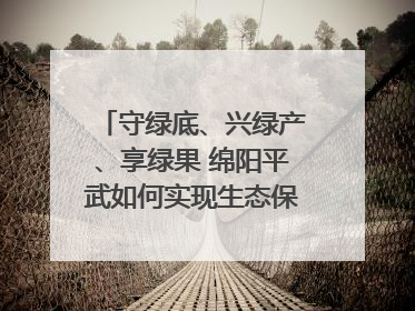 守绿底、兴绿产、享绿果 绵阳平武如何实现生态保护与经济发展双赢？｜新闻发布最前线·深一度