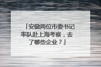 安徽两位市委书记率队赴上海考察，去了哪些企业？