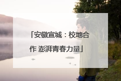 安徽宣城：校地合作 澎湃青春力量