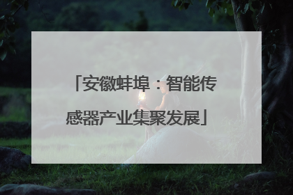 安徽蚌埠：智能传感器产业集聚发展