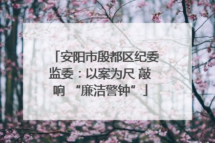 安阳市殷都区纪委监委：以案为尺 敲响 “廉洁警钟”