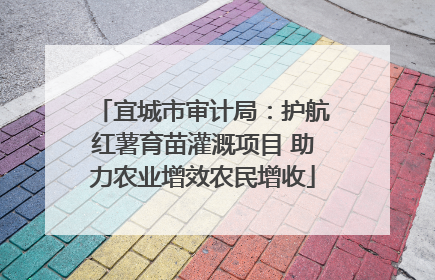 宜城市审计局：护航红薯育苗灌溉项目 助力农业增效农民增收