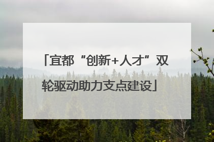 宜都“创新+人才”双轮驱动助力支点建设