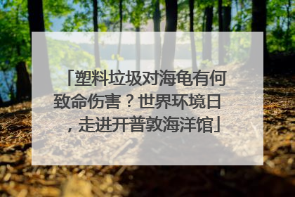 塑料垃圾对海龟有何致命伤害？世界环境日，走进开普敦海洋馆