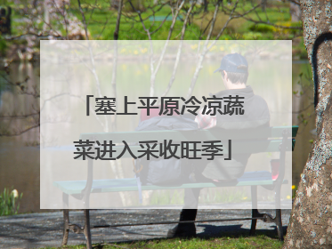 塞上平原冷凉蔬菜进入采收旺季