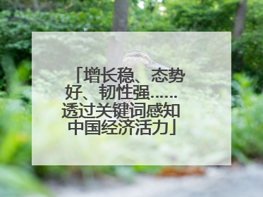 增长稳、态势好、韧性强……透过关键词感知中国经济活力
