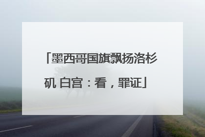 墨西哥国旗飘扬洛杉矶 白宫：看，罪证