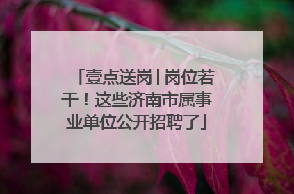 壹点送岗│岗位若干！这些济南市属事业单位公开招聘了