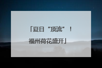 夏日“顶流”！福州荷花盛开