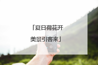 夏日荷花开 美景引客来