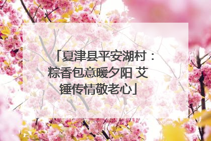 夏津县平安湖村：粽香包意暖夕阳 艾锤传情敬老心