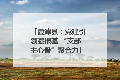 夏津县：党建引领强根基 “支部主心骨”聚合力
