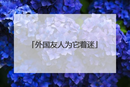 外国友人为它着迷