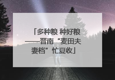多种粮 种好粮——晋南“麦田夫妻档”忙夏收