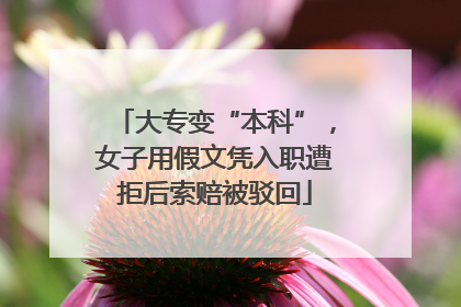 大专变“本科”，女子用假文凭入职遭拒后索赔被驳回