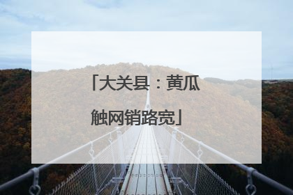 大关县：黄瓜触网销路宽