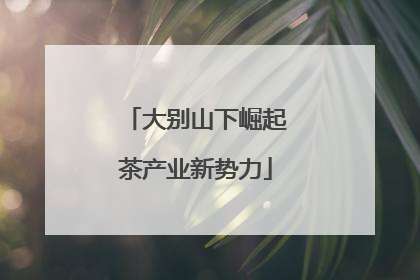 大别山下崛起茶产业新势力