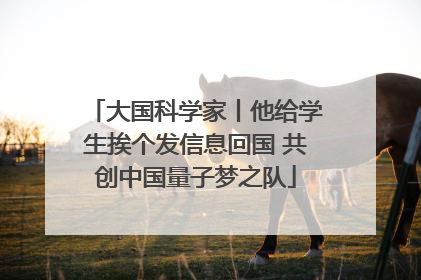 大国科学家丨他给学生挨个发信息回国 共创中国量子梦之队