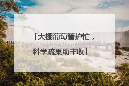 大棚葡萄管护忙，科学疏果助丰收