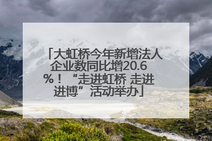 大虹桥今年新增法人企业数同比增20.6%！“走进虹桥 走进进博”活动举办