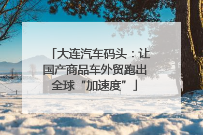 大连汽车码头：让国产商品车外贸跑出全球“加速度”