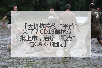 天价抗癌药“平替”来了？CD19单抗获批上市，治疗“靶点”与CAR-T相同