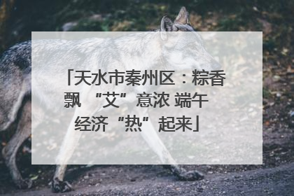 天水市秦州区：粽香飘 “艾”意浓 端午经济“热”起来