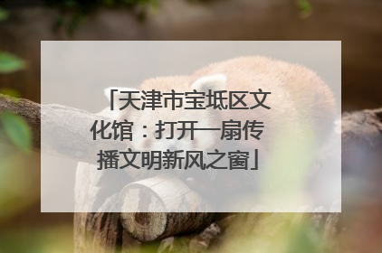 天津市宝坻区文化馆：打开一扇传播文明新风之窗