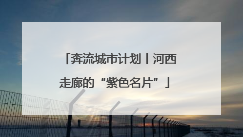奔流城市计划丨河西走廊的“紫色名片”