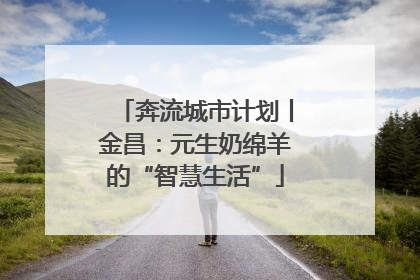 奔流城市计划丨金昌：元生奶绵羊的“智慧生活”