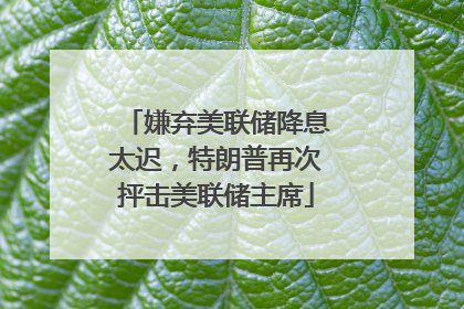 嫌弃美联储降息太迟，特朗普再次抨击美联储主席
