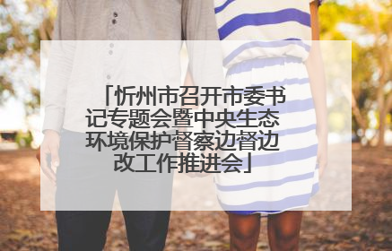 忻州市召开市委书记专题会暨中央生态环境保护督察边督边改工作推进会