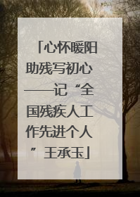 心怀暖阳助残写初心——记“全国残疾人工作先进个人”王承玉
