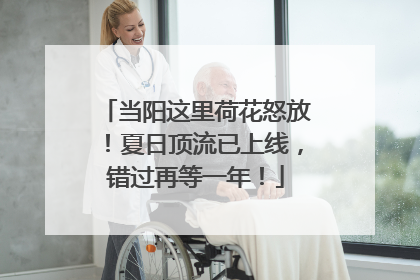 当阳这里荷花怒放！夏日顶流已上线，错过再等一年！