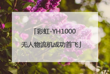 彩虹-YH1000无人物流机成功首飞