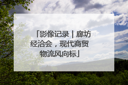 影像记录｜廊坊经洽会，现代商贸物流风向标