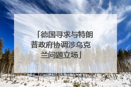 德国寻求与特朗普政府协调涉乌克兰问题立场