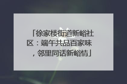 徐家楼街道新峪社区：端午共品百家味，邻里同话新峪情