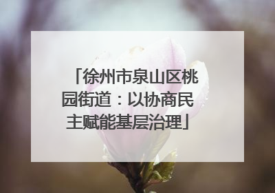 徐州市泉山区桃园街道：以协商民主赋能基层治理