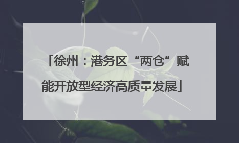 徐州：港务区“两仓”赋能开放型经济高质量发展