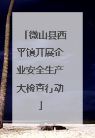 微山县西平镇开展企业安全生产大检查行动