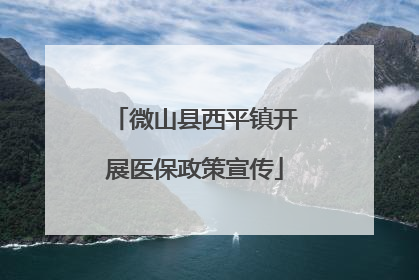 微山县西平镇开展医保政策宣传