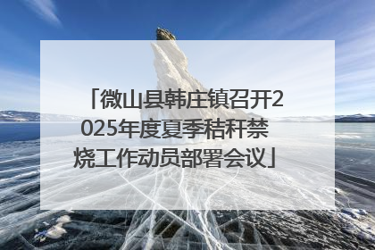 微山县韩庄镇召开2025年度夏季秸秆禁烧工作动员部署会议