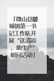 微山县驩城镇第一书记工作队开展“送清凉、助生产”慰问活动
