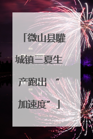 微山县驩城镇三夏生产跑出 “加速度”